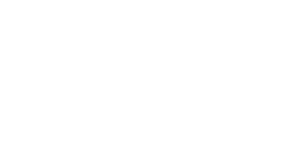 Project Rou